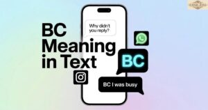 BC Meaning in Text